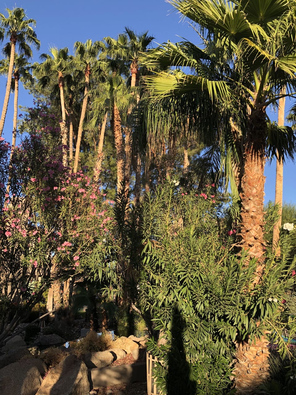 Lush surroundings everywhere at The Fountains.