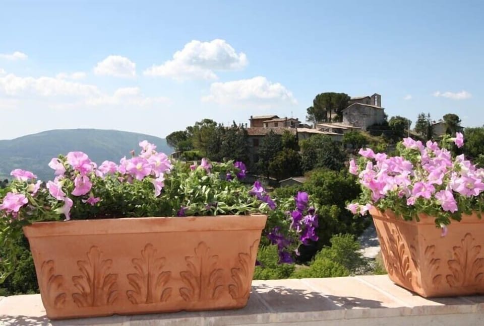 another view from The Terrace