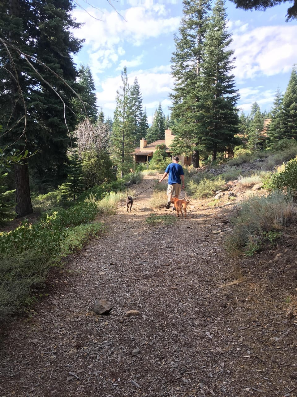 Trail behind condo -- 10-min walk to Village
