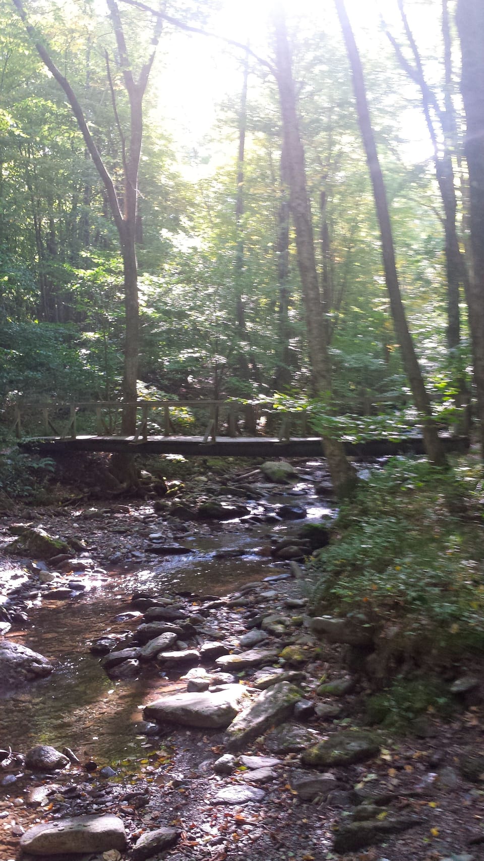 Money Brook Trail - trailhead behind house