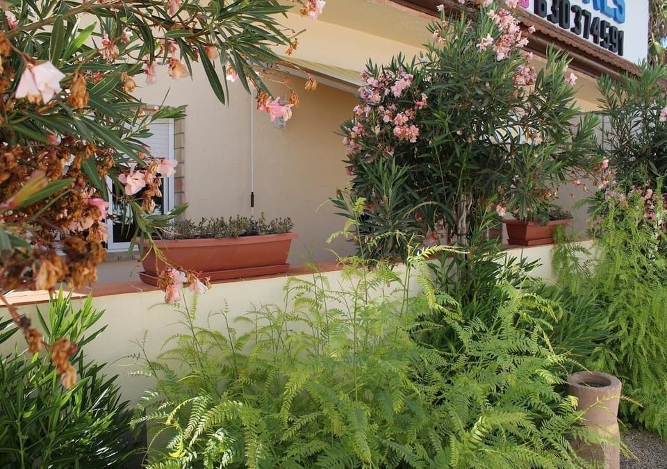 CASA FLORA