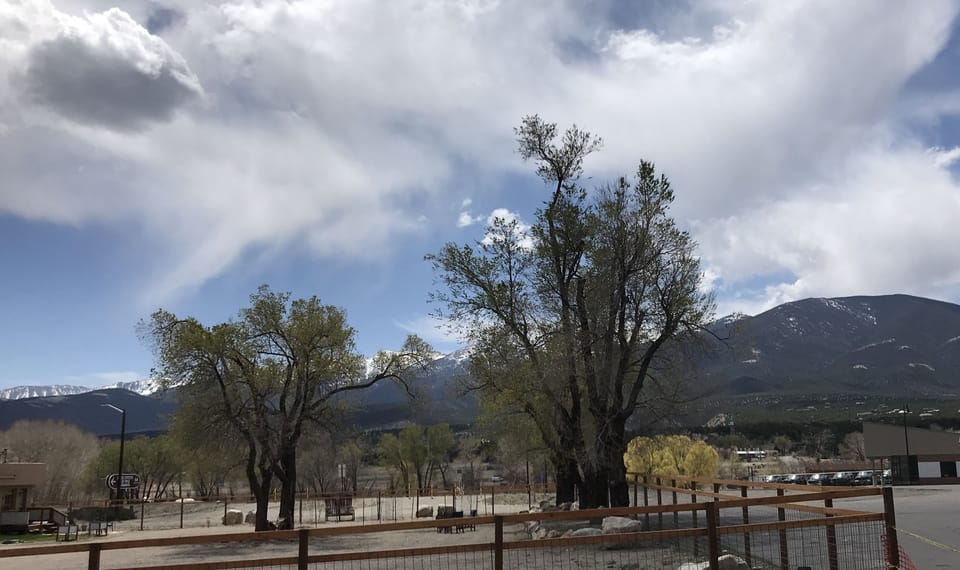 Backyard faces south for plentiful sun and nice views of surrounding mountains. 
