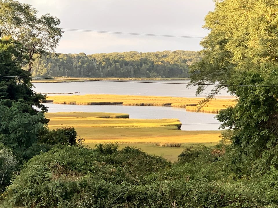 View from deck