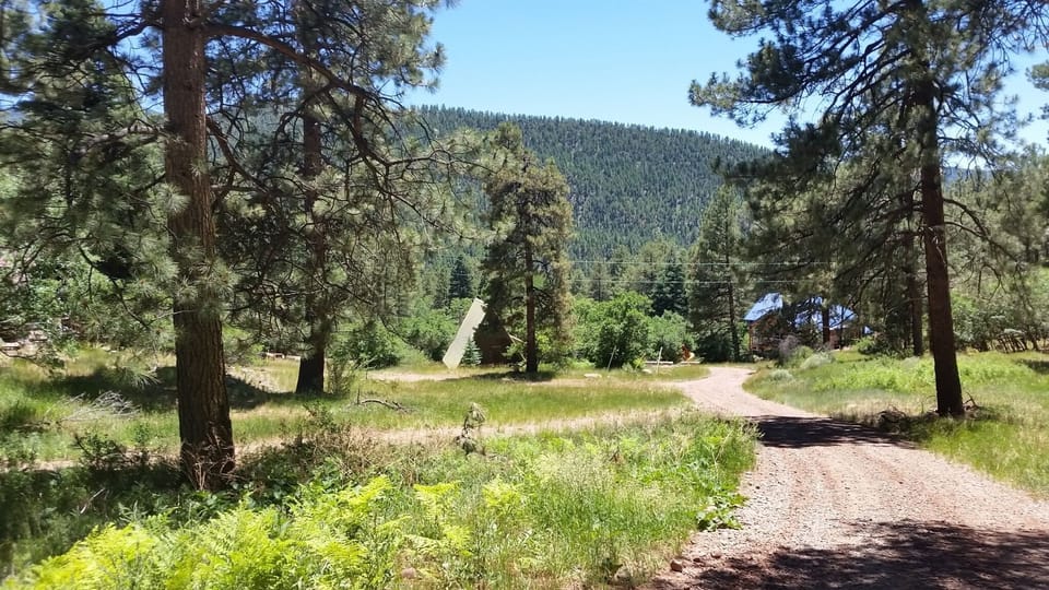 view up from cabin as you take a hike up local road....