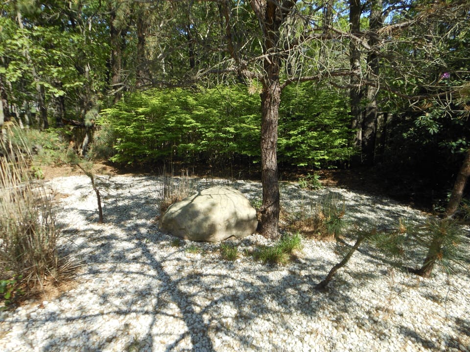 Back Yard /Beach pepples~ quite serene