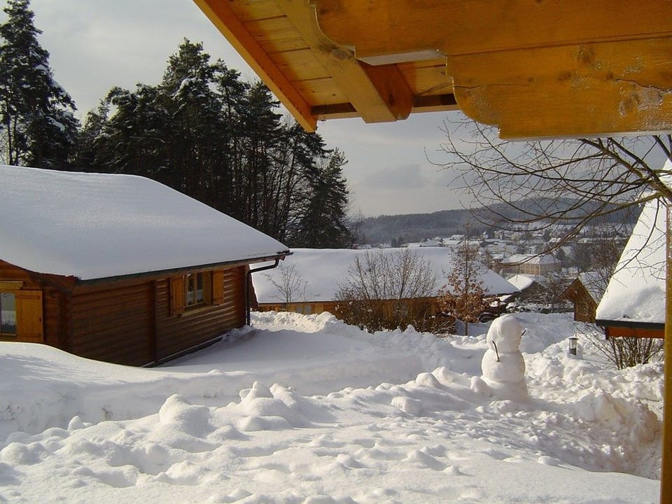 50 qm großes Blockhaus F*** im Bayerischen Wald Apartment in Bavaria