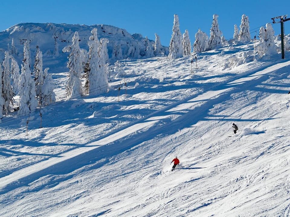 Snow and ski sports
