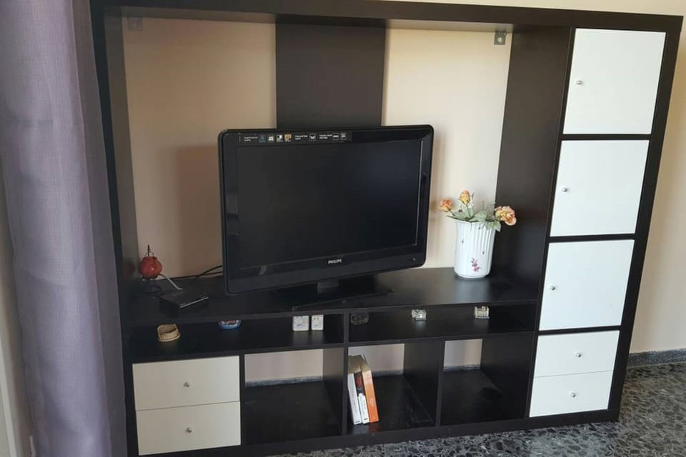 Television