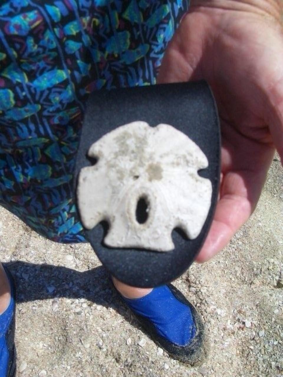 Treasures to be found