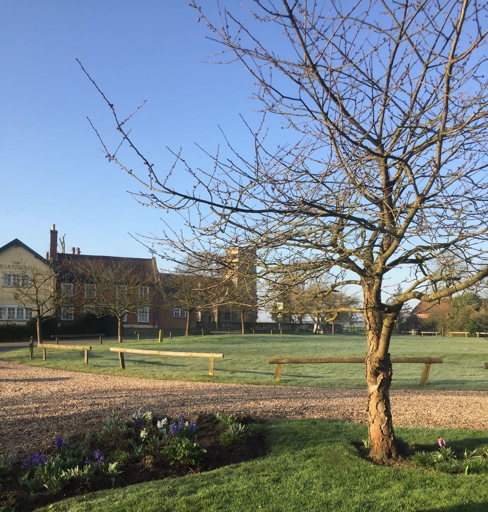 View of village green