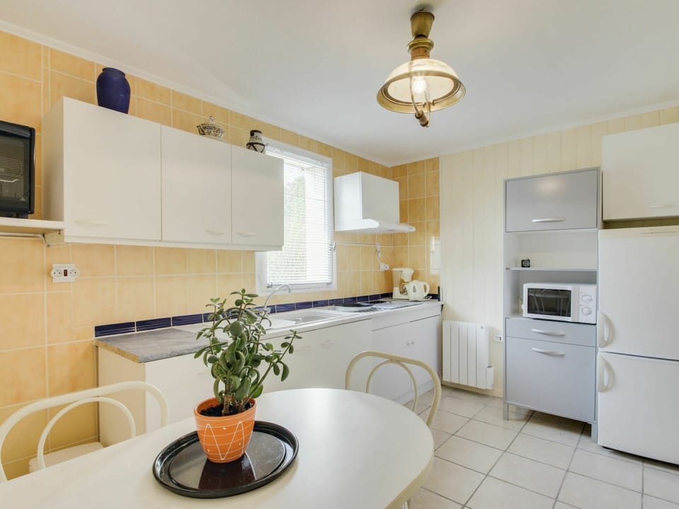 Cabinetry, Countertop, Furniture, Property, Plant, Houseplant, Building, Flowerpot, Kitchen, Interior Design