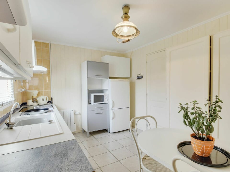 Property, Cabinetry, Plant, Countertop, Flowerpot, Sink, Tap, Building, Interior Design, Lighting