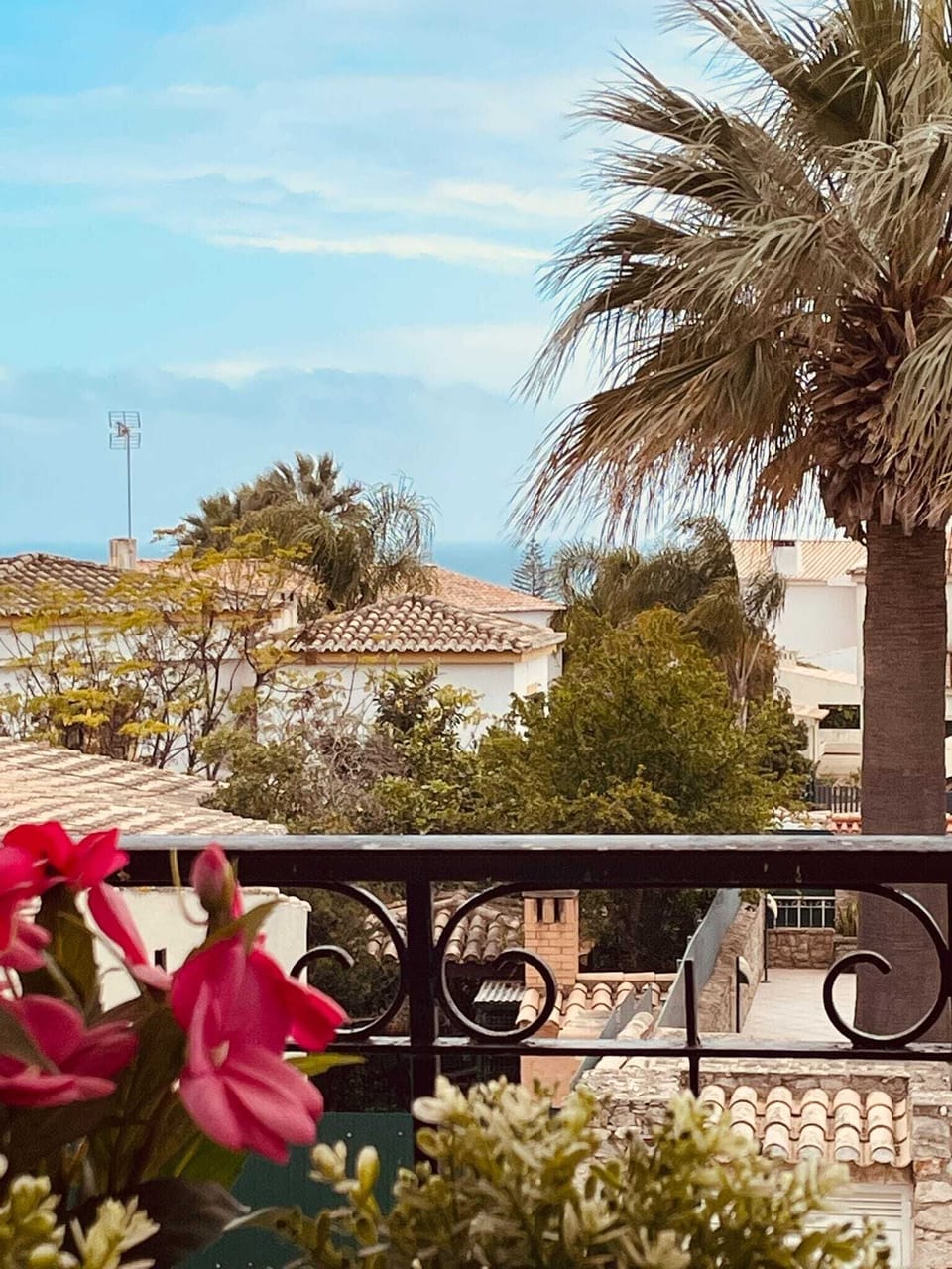 View from patio