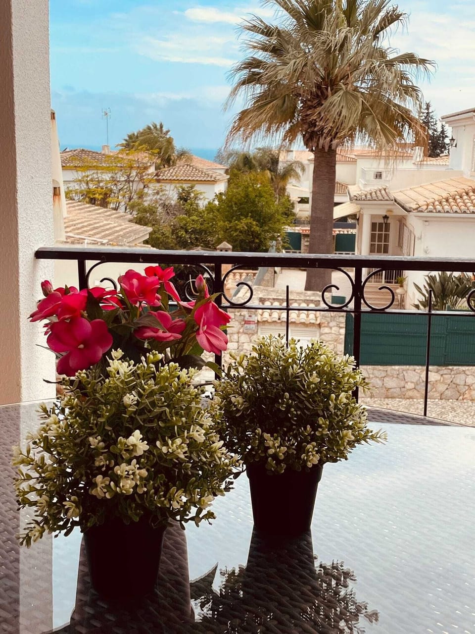 Patio-view from lounge