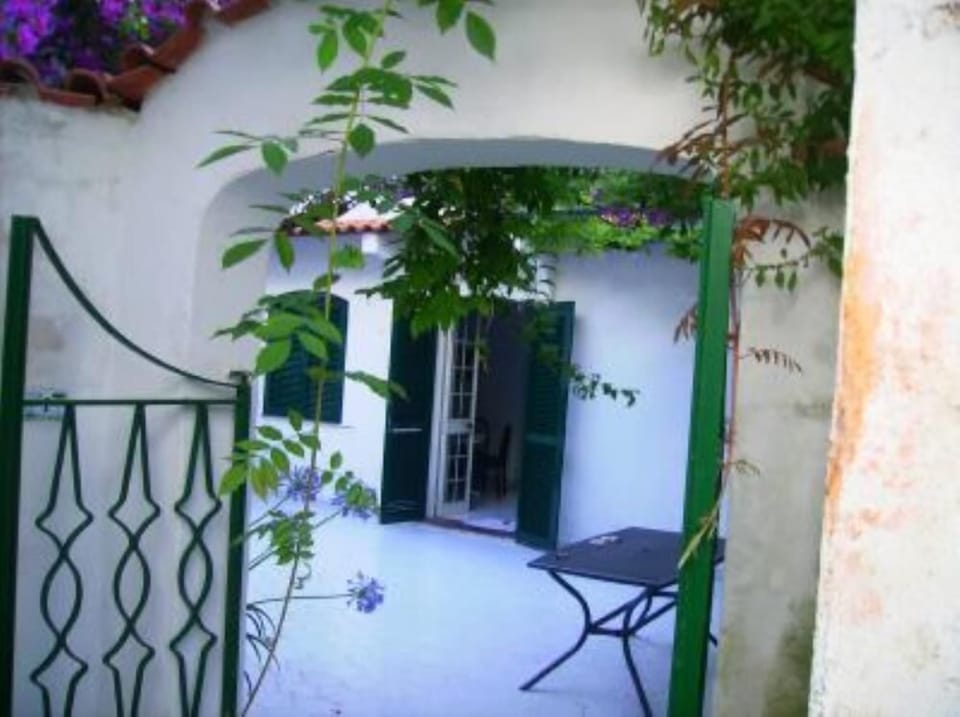 Terrace / Balcony