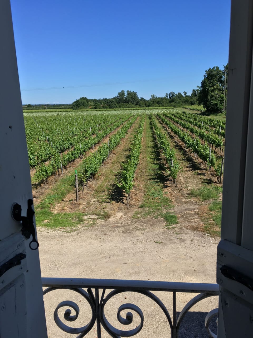 View from property