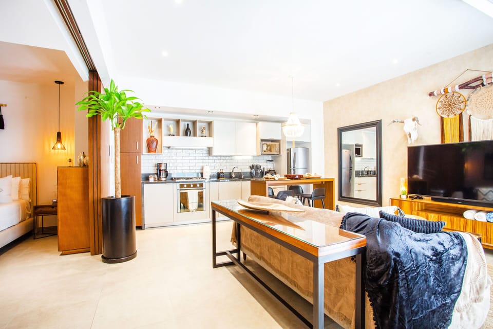 Open layout with living room, kitchen and bedroom