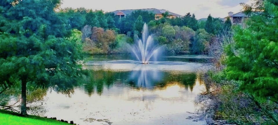 Tropical pond with natural wildlife on resort grounds
