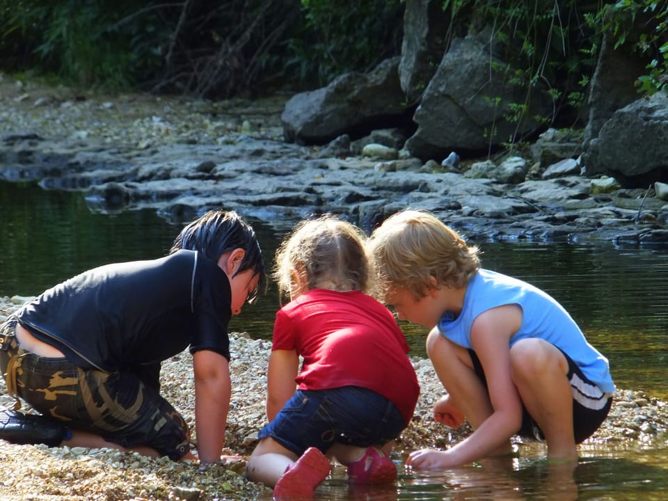 Kids finding small water critters at the creek