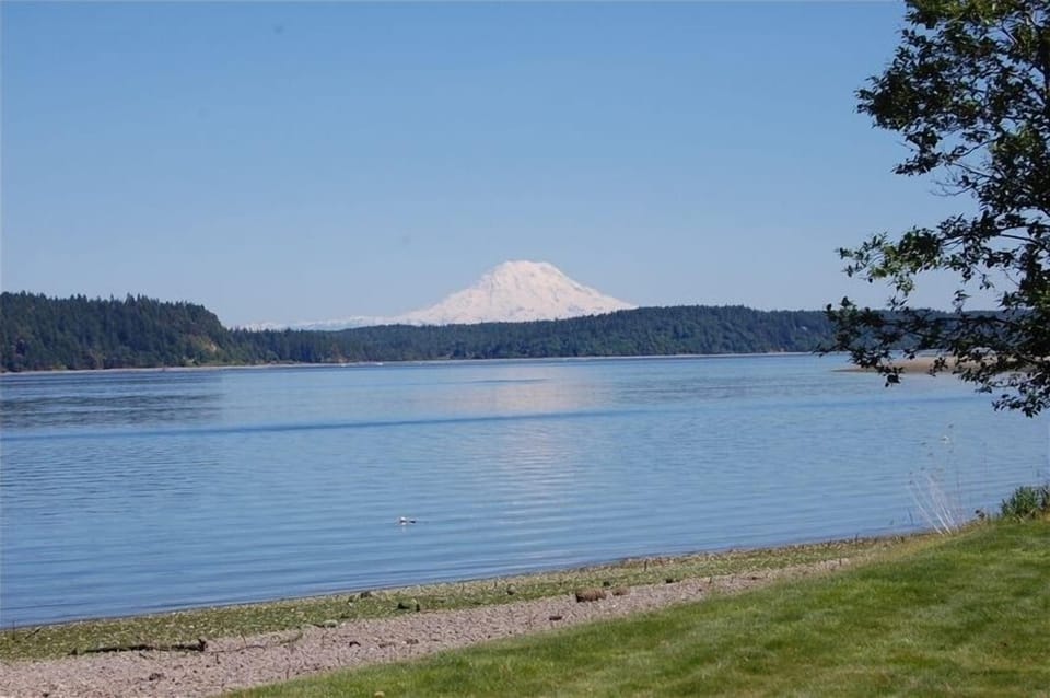 Mt. Rainier from cabin