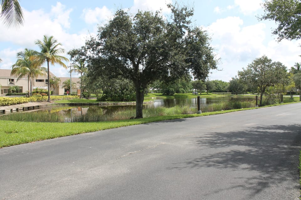 Front view of pond