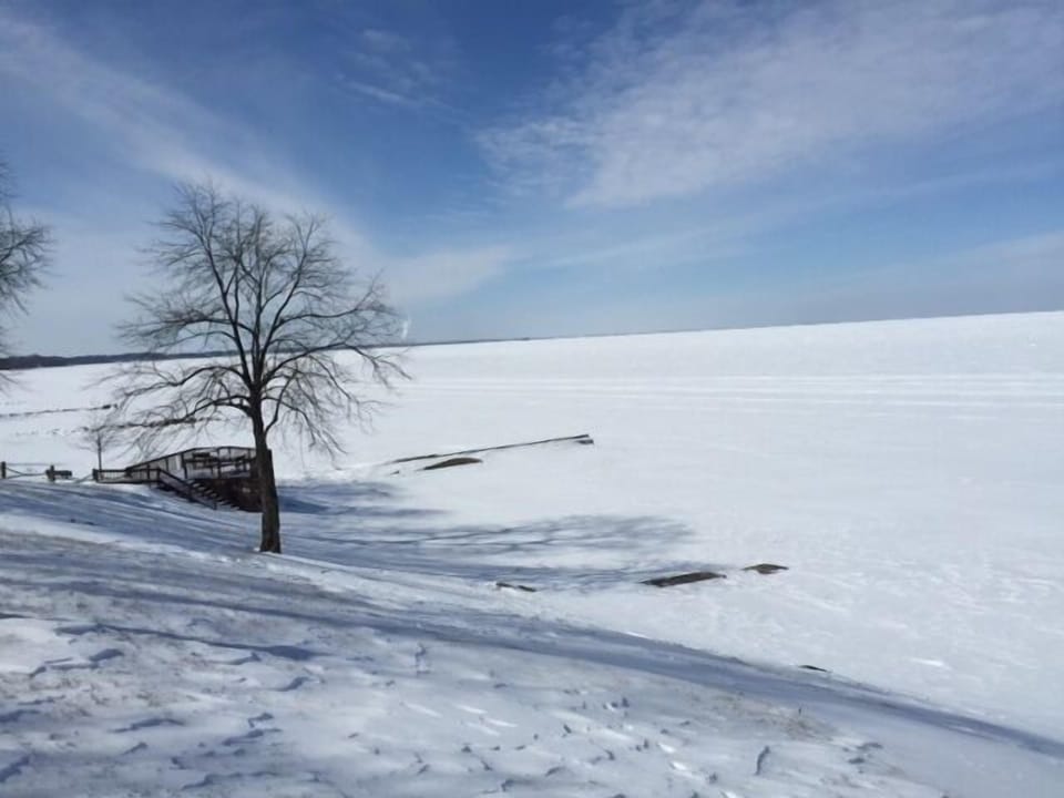 Looking west, frozen Lake Erie