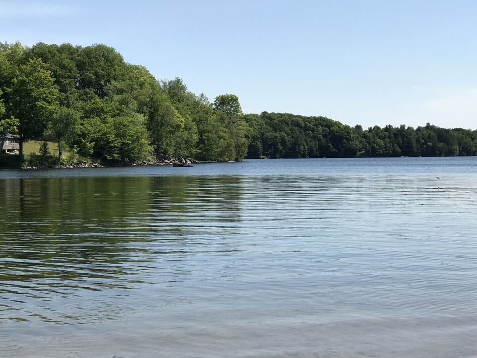 Lake view from property.