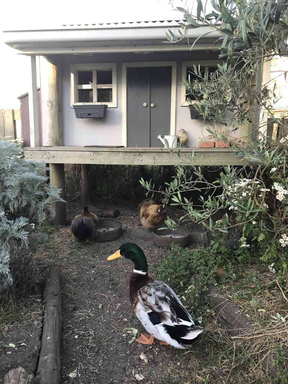 Property grounds