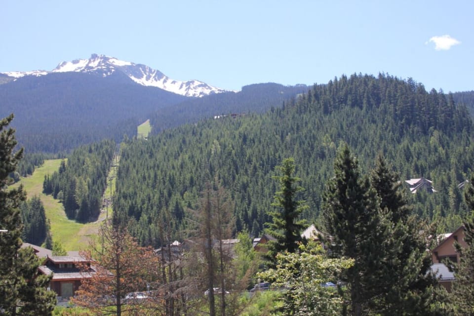 View of Whistler Mountain from the couch.