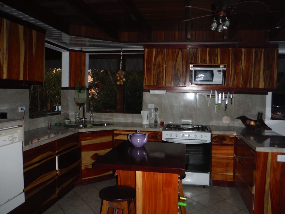 kitchen with raised dishwasher-exotic wood