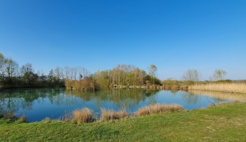 On site carp fishing