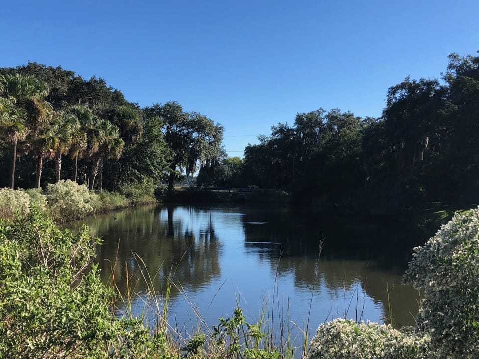 The picturesque  'reflection pond' across the street - 
