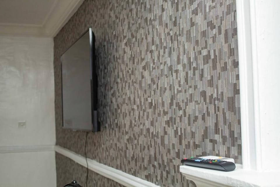 Television
