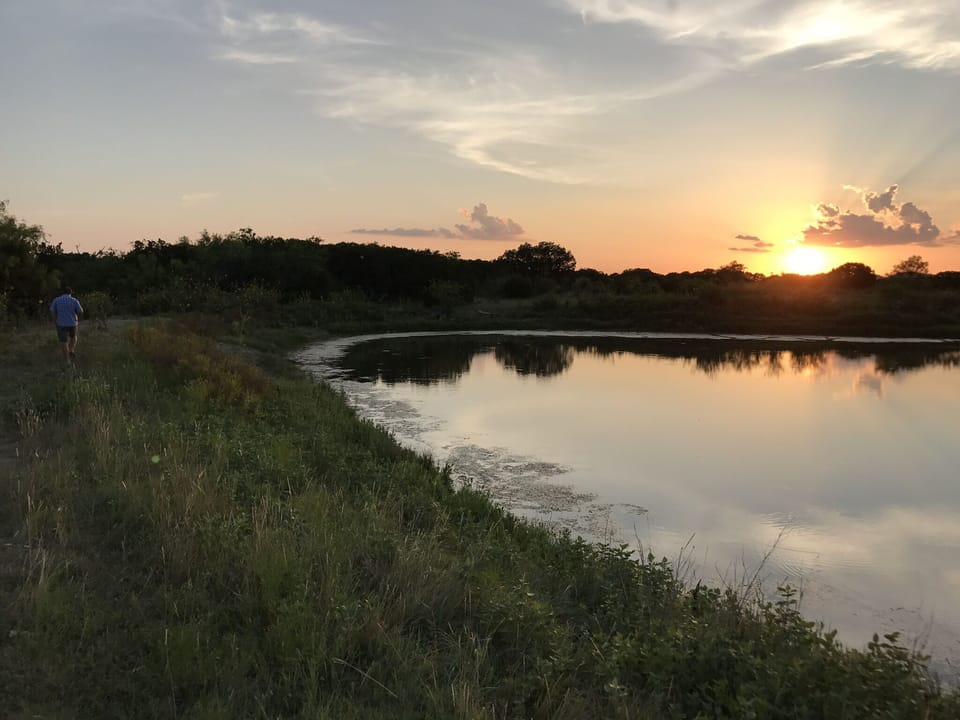 Pond #2