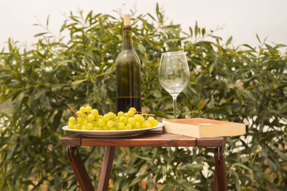 Savour a glass of local Provençal wine amongst the vineyards and countryside surrounding Bonnieux.