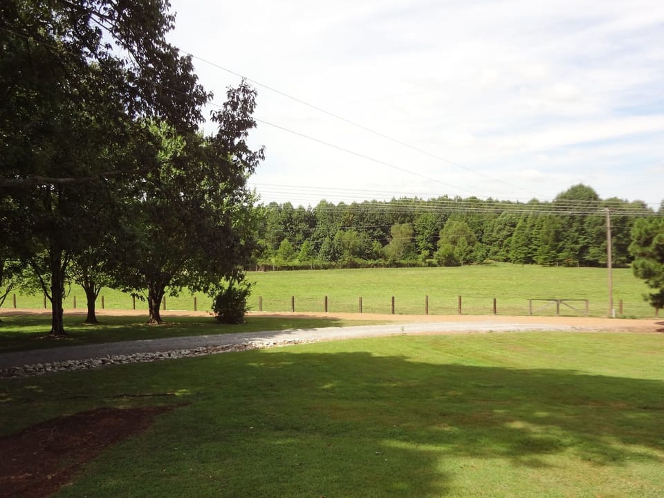  View from front porch