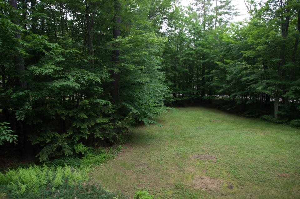 Great yard for whiffle ball or kickball!