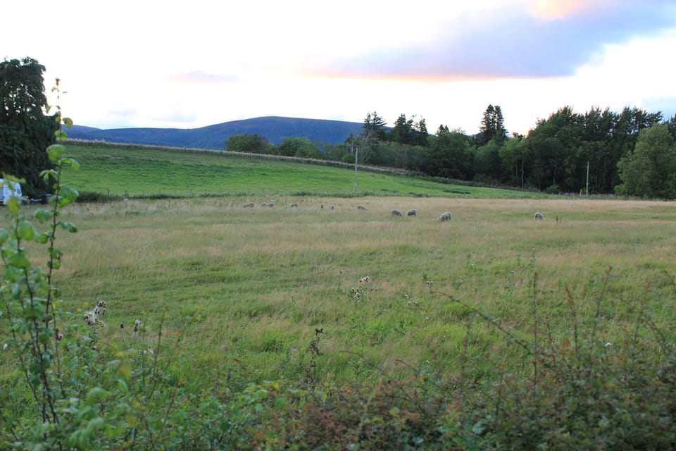 View of Fyrish Monument from the back of the cottage