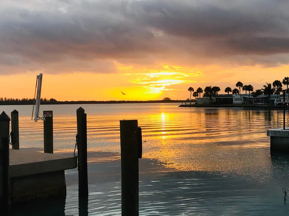 Bay Side Docks