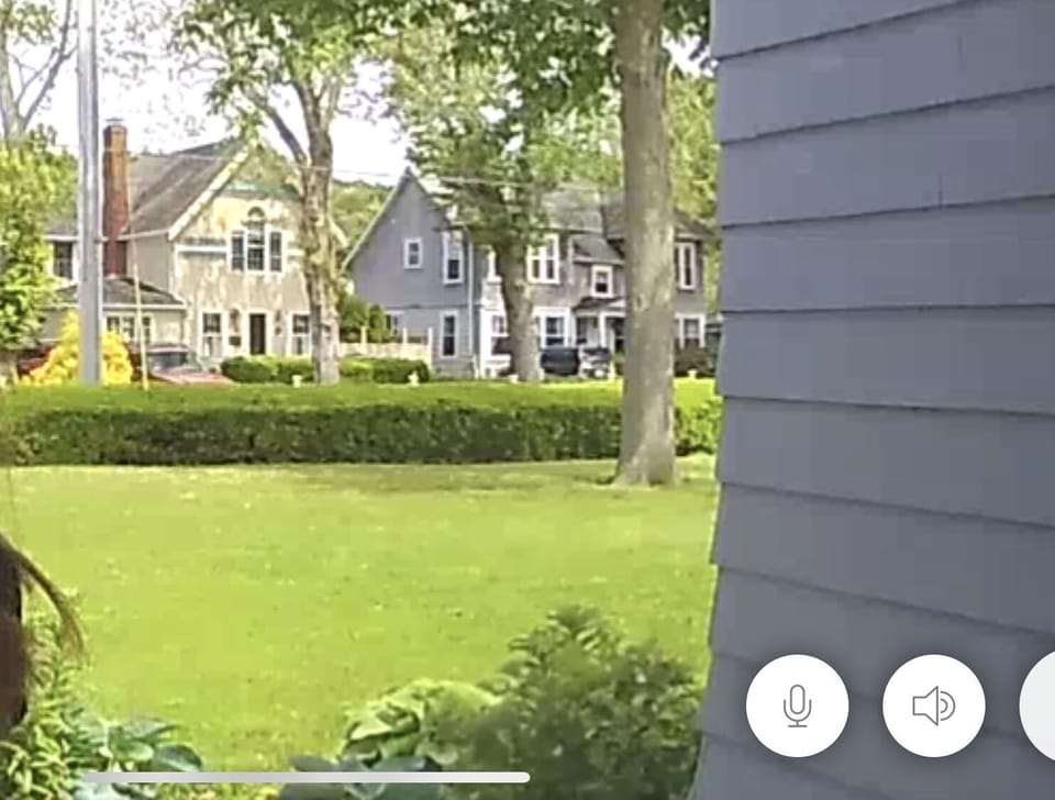 A glimpse of front yard from patio door, according to ring video