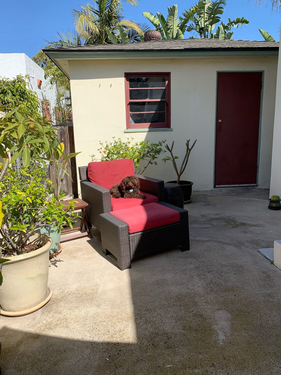 Terrace/patio