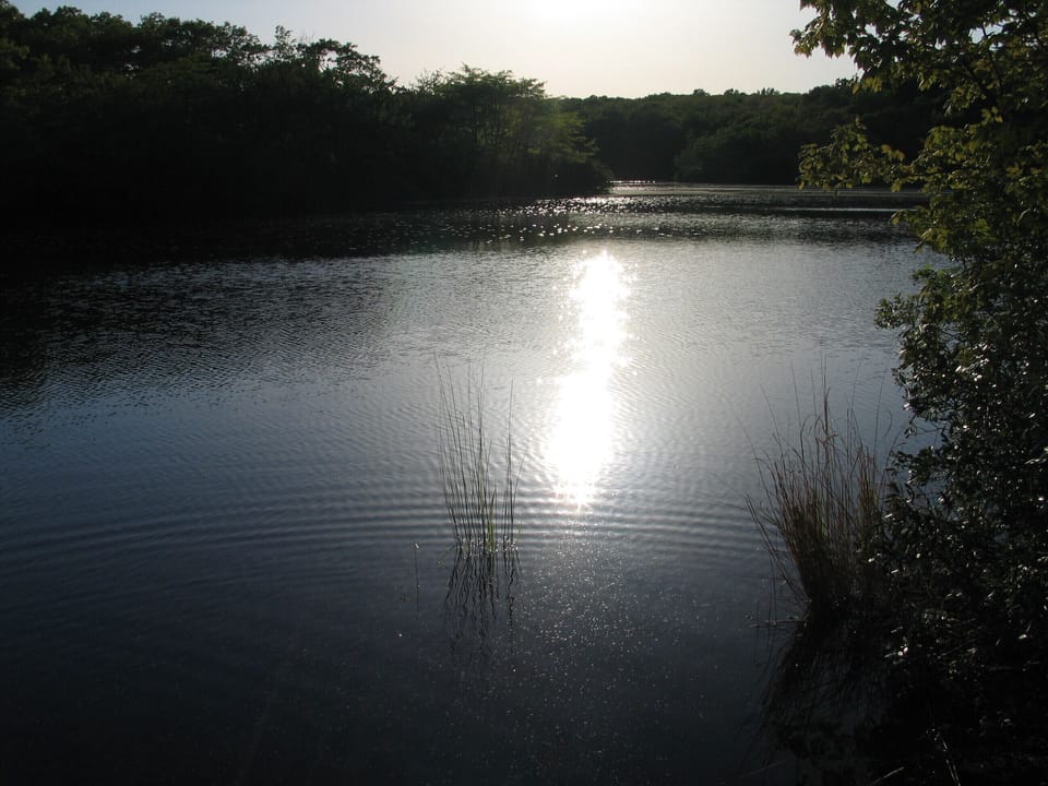 Crooked Pond across the street in Nature Preserve