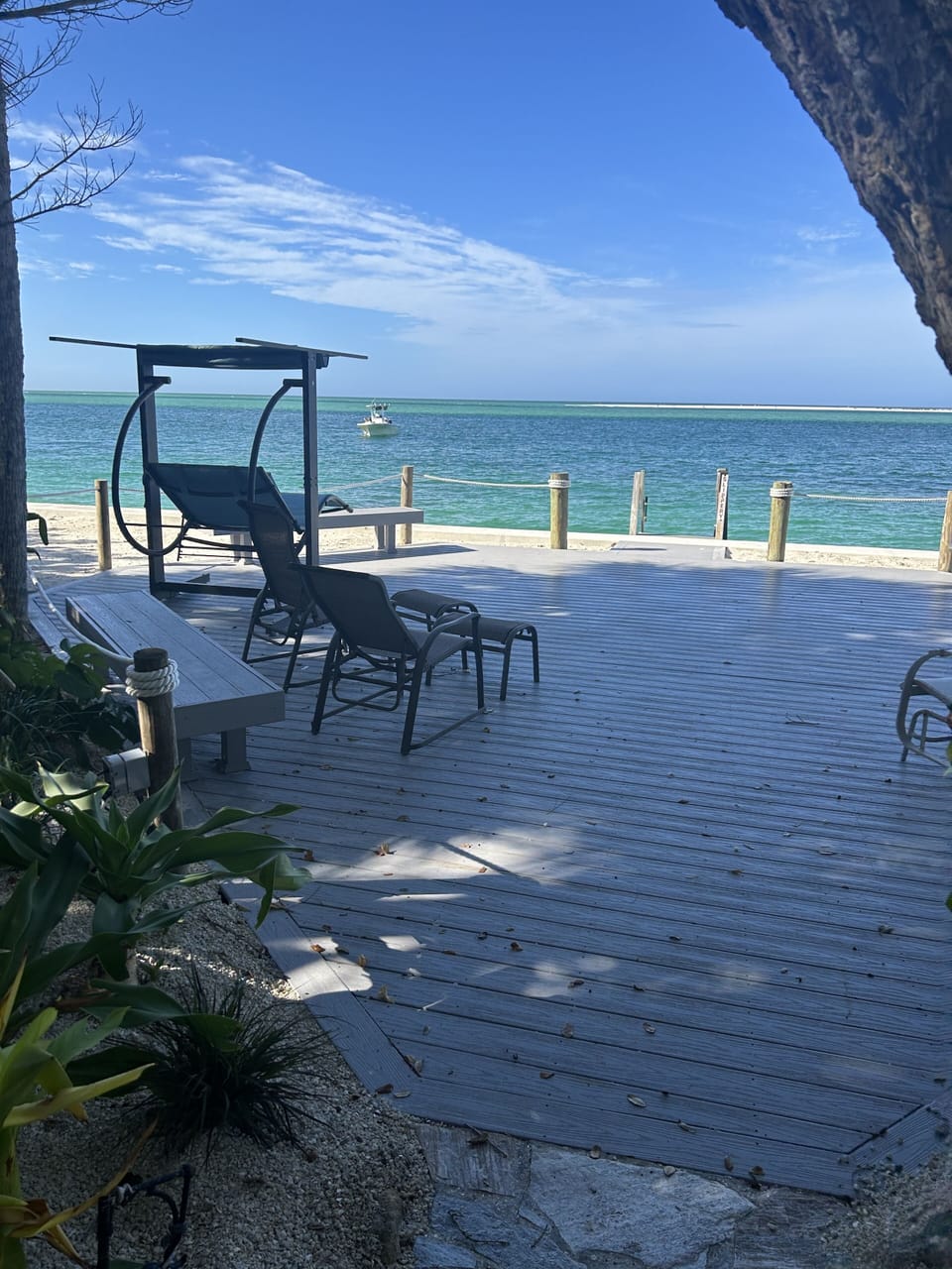 Our back deck.  Relax on our shard swing !