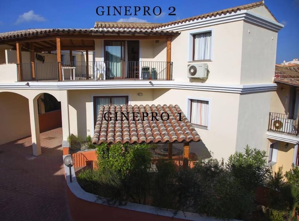 Ginepro 2