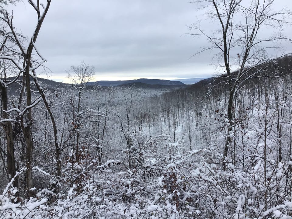 Peaceful winter landscape of the Bald Eagle Valley.