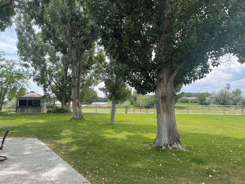 View of the main yard and pasture from the front porch.