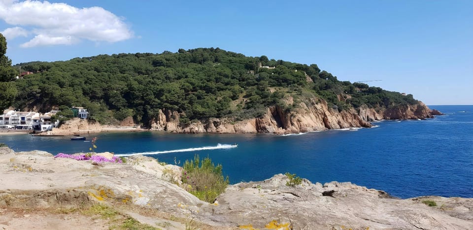 Discover Cala de Aigua Dolça and explore its crystal-clear waters, just minutes away from your doorstep