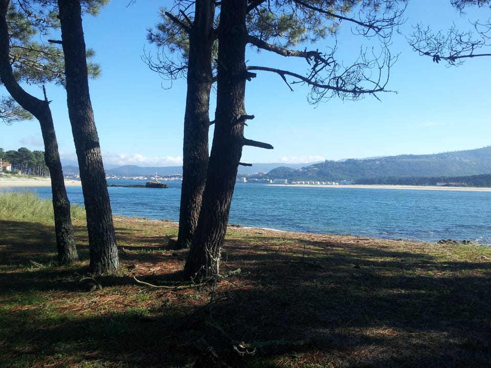 Pine clad sandy estuary beaches nearby