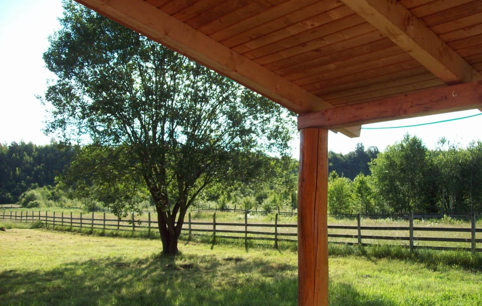 view from the corner of the porch.