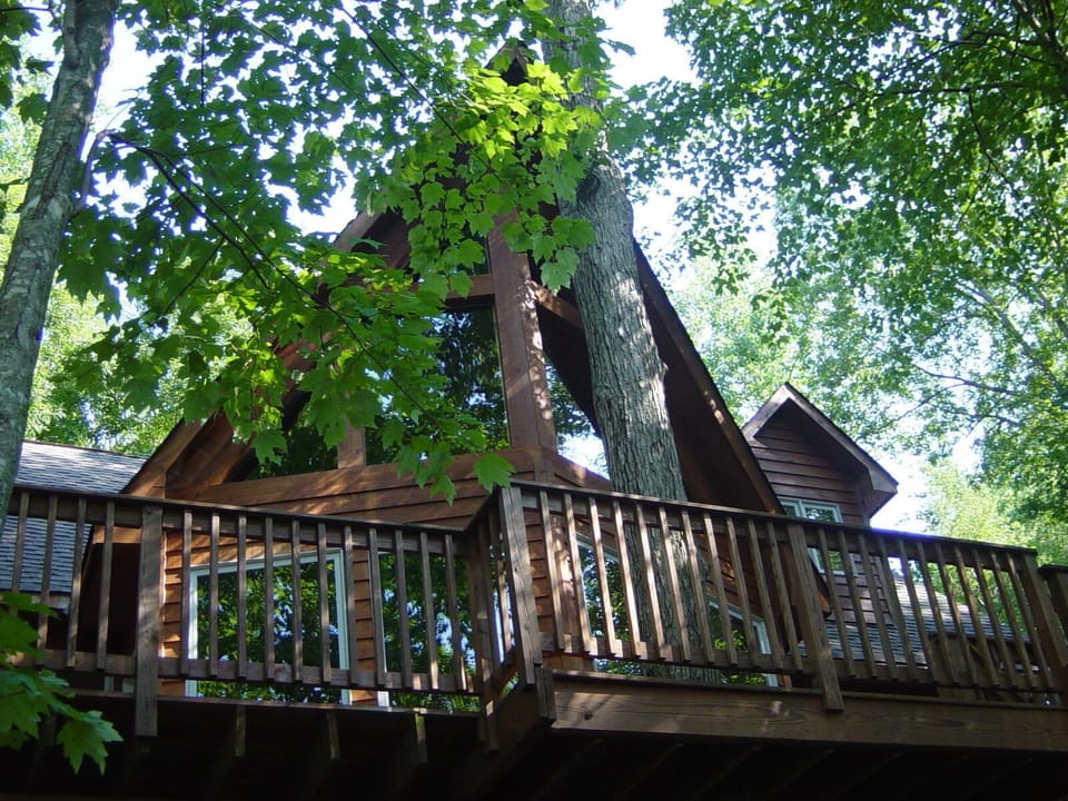 View of the back of the house 